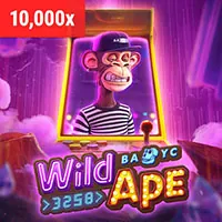 Giám đốc điều hành của 79k99