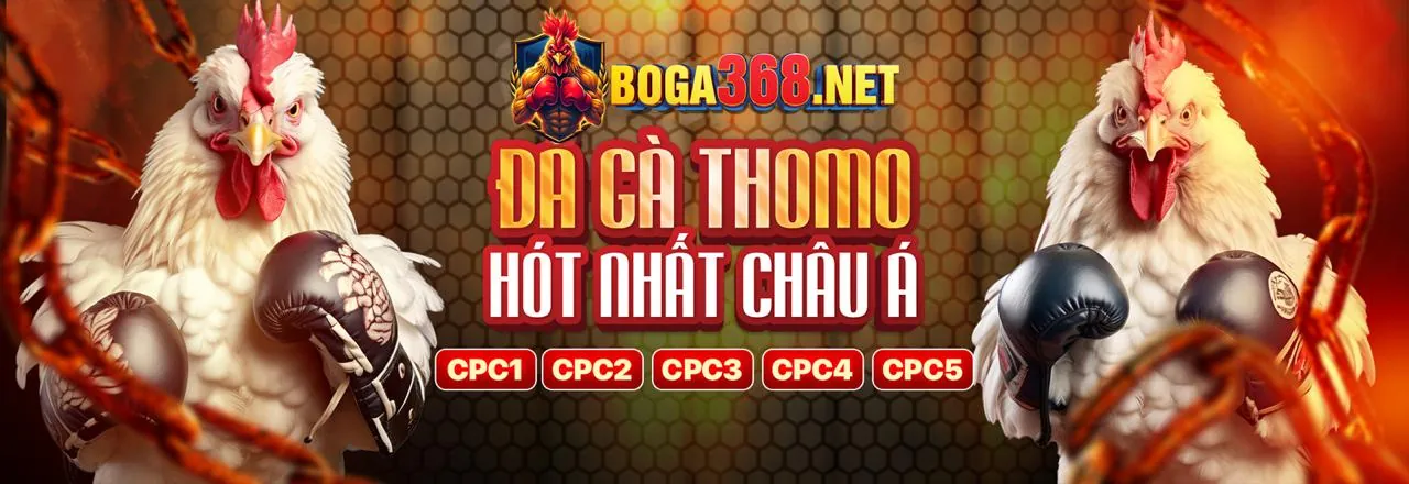 Đá gà trực tuyến 79k99 với trận đấu kịch tính