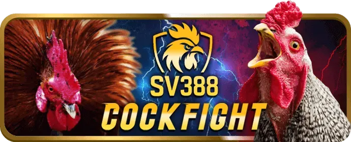 Ưu đãi VIP độc quyền cho thành viên 79k99